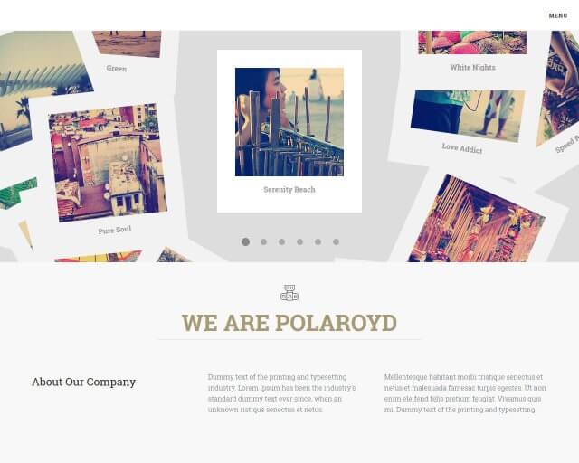 Polaroyd - Elegant Agency Template